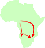 Africa portrait